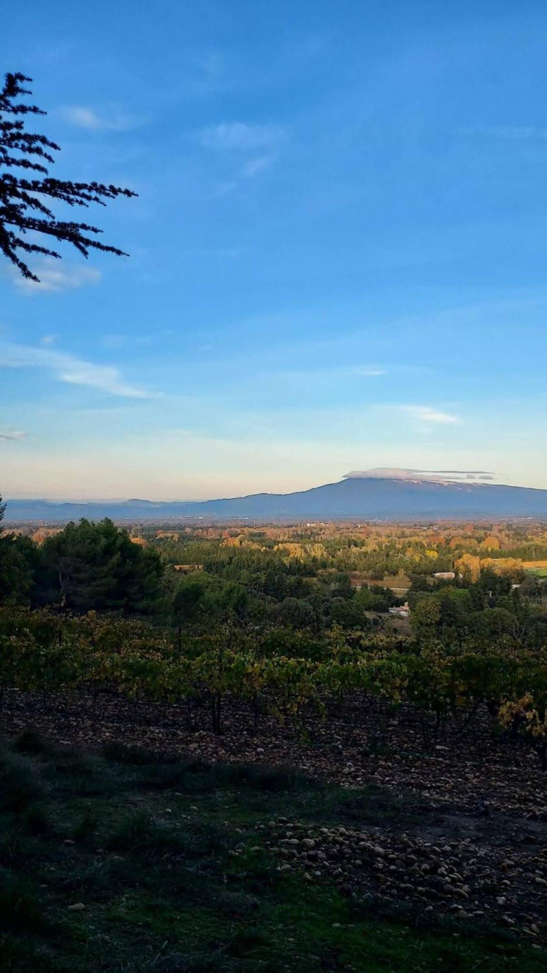 L'Appartement De L'Arche Châteauneuf-de-Gadagne Exteriör bild