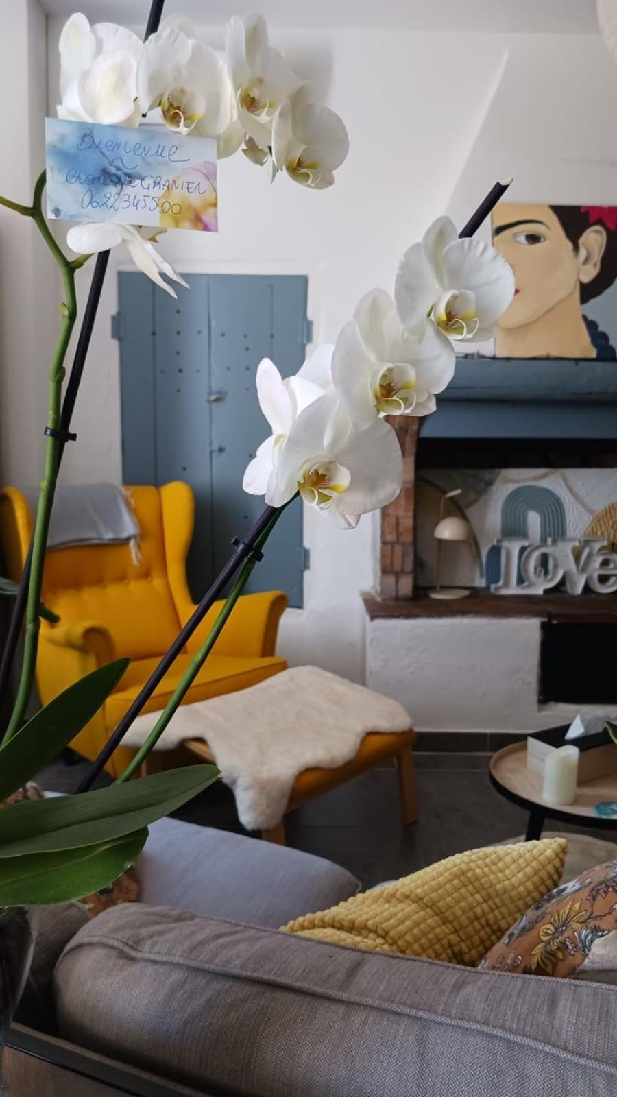 L'Appartement De L'Arche Châteauneuf-de-Gadagne Exteriör bild